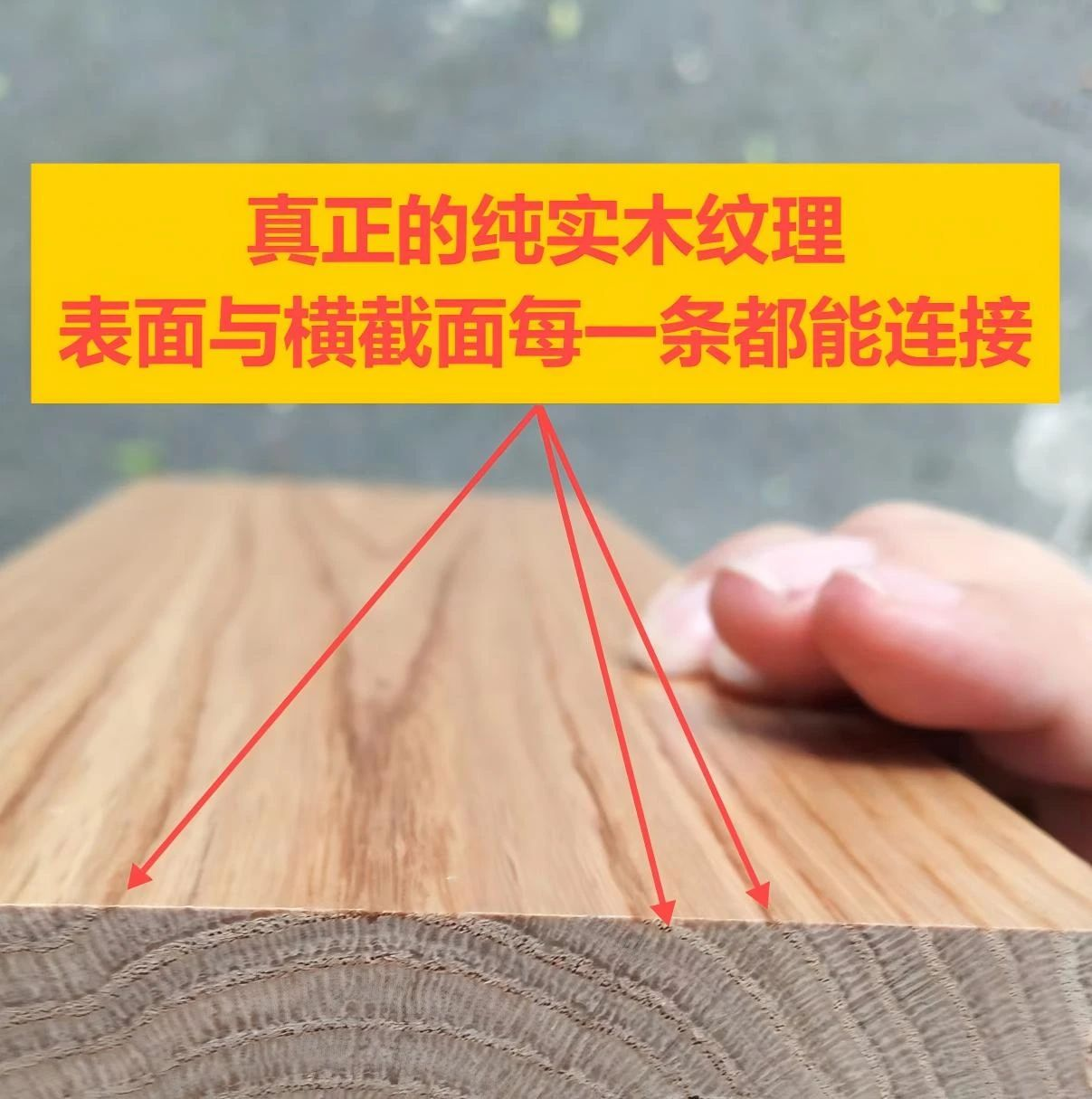 圖片231.png